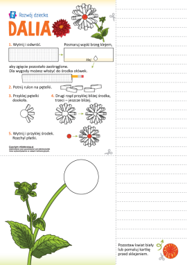 Dalia: przestrzenna praca plastyczna