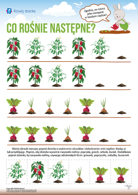 Sekwencje: wizualno-rytmiczne rzędy warzyw dla dzieci od 3 roku życia