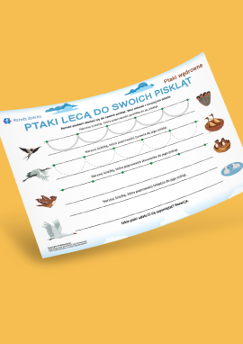 Ptaki wędrowne: proste zadania grafomotoryczne dla przedszkolaków