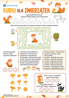 Zagadki logiczne i zadania matematyczne z elementami neuroćwiczeń dla dzieci w wieku przedszkolnym