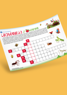 Krzyżówka obrazkowa dla dzieci w wieku 5–7 lat – Owady