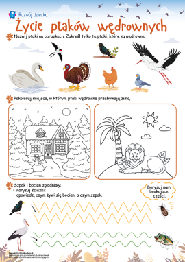 Poznajemy ptaki wędrowne