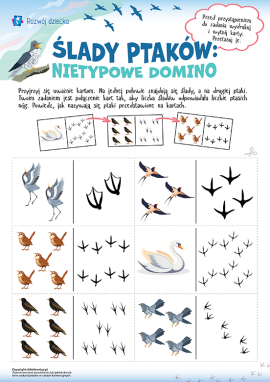 Ślady ptaków wędrownych: rozwijanie uwagi i umiejętności liczenia