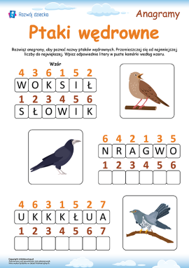 Ptaki wędrowne: anagramy dla dzieci od 6 roku życia