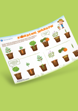 Korzenie roślin – zadania od 2 roku życia