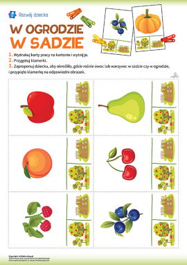 Rośliny sadu i ogrodu: gra z klamerkami