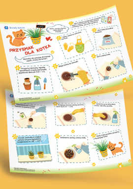 Instrukcja uprawy roślin dla kotów