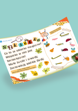 Owady: czytanie metodą sylabową dla przedszkolaków