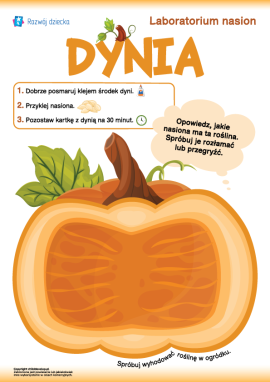 Praca plastyczna z nasionami dyni