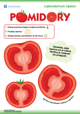 Praca plastyczna z nasionami pomidorów