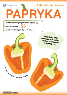 Praca plastyczna z nasionami papryki