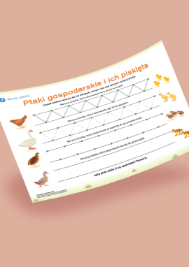 Ptaki gospodarskie: zadanie grafomotoryczne dla przedszkolaków