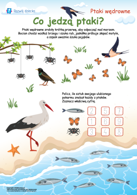 Zapoznanie dzieci z łańcuchem pokarmowym ptaków wędrownych oraz utrwalenie umiejętności liczenia w zakresie 10