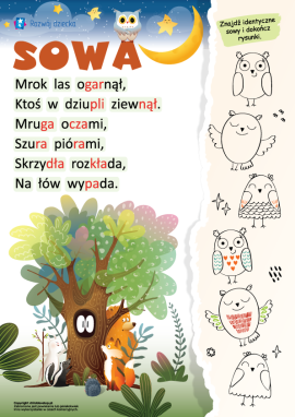 Sowa: czytanie sylabami dla przedszkolaków