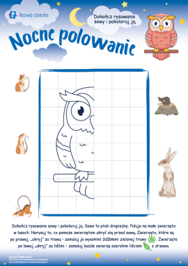 Sowa: grafomotoryka i wyobraźnia przestrzenna