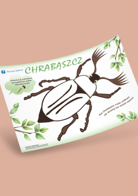 Chrabąszcz: malowanie farbami