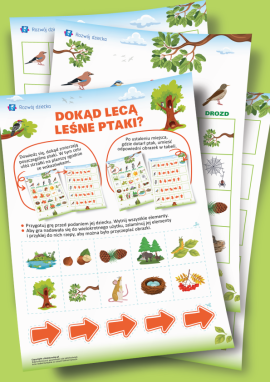 Ptaki leśne: gra dydaktyczna do rozwijania orientacji w płaszczyźnie