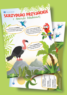 Ptaki Ameryki Południowej: utrwalamy umiejętność liczenia w zakresie do 3