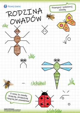 Rysowanie owadów po kratkach: rozwijanie umiejętności grafomotorycznych, przygotowanie ręki do nauki pisania