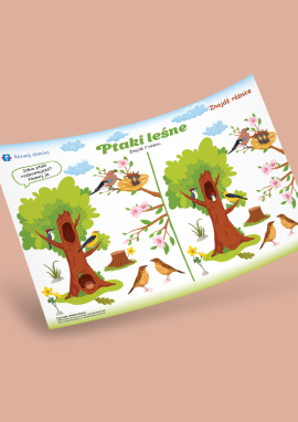 Ptaki leśne – znajdź różnice