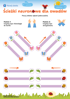 Ścieżki neuronowe: proste ćwiczenia dla przedszkolaków