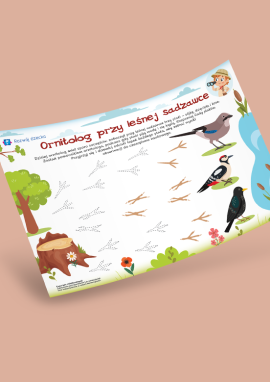 Rozpoznajemy leśne ptaki i rysujemy ich ślady