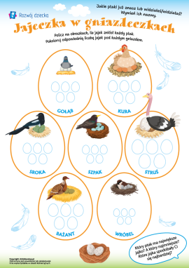 Jajka ptaków: porównywanie ich cech i liczenie w zakresie do 5