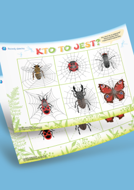 Owady: uczymy się za pomocą puzzli i zamazanych obrazków