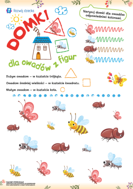 Figury geometryczne i wielkości – zadanie o owadach dla dzieci w wieku 4–6 lat