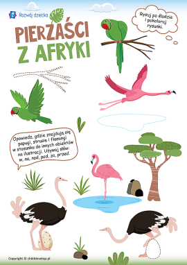 Orientacja w przestrzeni, grafomotoryka i ptaki Afryki