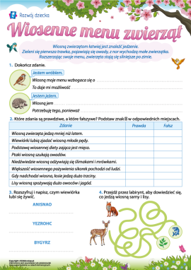Wiosenne menu zwierząt: zmiany sezonowe