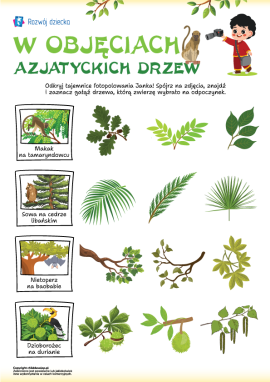 Drzewa i zwierzęta Azji