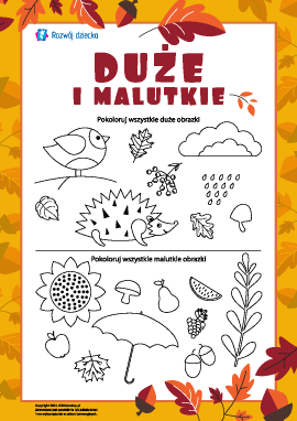 Rozróżniamy duże i malutkie obrazki
