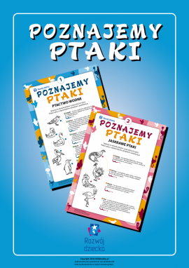Kolorujemy i poznajemy ptaki