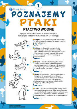 Kolorujemy i poznajemy ptactwo wodne