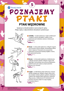 Kolorujemy i poznajemy ptaki wędrowne