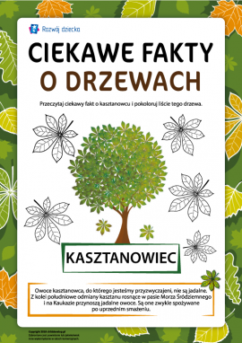 Ciekawe fakty o drzewach: kasztan
