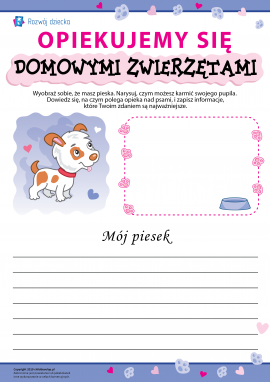 Osobliwości opieki nad psami