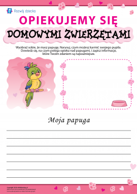 Osobliwości opieki nad papugami