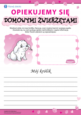 Osobliwości opieki nad królikami