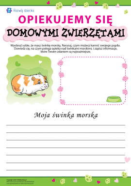 Osobliwości opieki nad świnkami morskimi