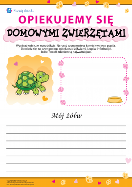 Osobliwości opieki nad żółwiami