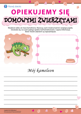 Osobliwości opieki nad kameleonami