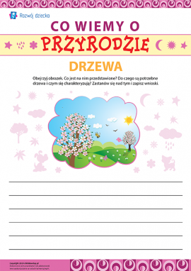 Piszemy wypracowanie o drzewach