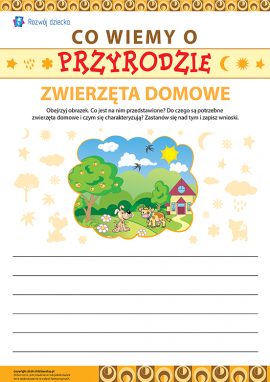 Piszemy wypracowanie o zwierzętach domowych