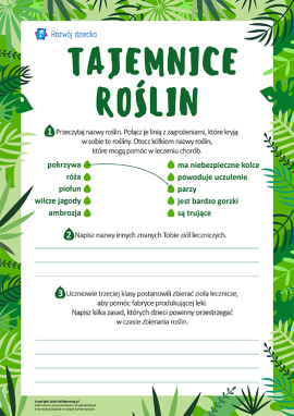 Odkrywamy tajemnice roślin