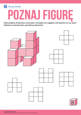 Wyobrażamy sobie widok figur od góry nr 8