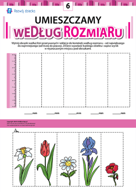 Umieszczamy obrazki według rozmiaru nr 6