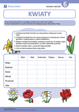 Rozwijamy logikę rozwiązując zadanie o kwiatach