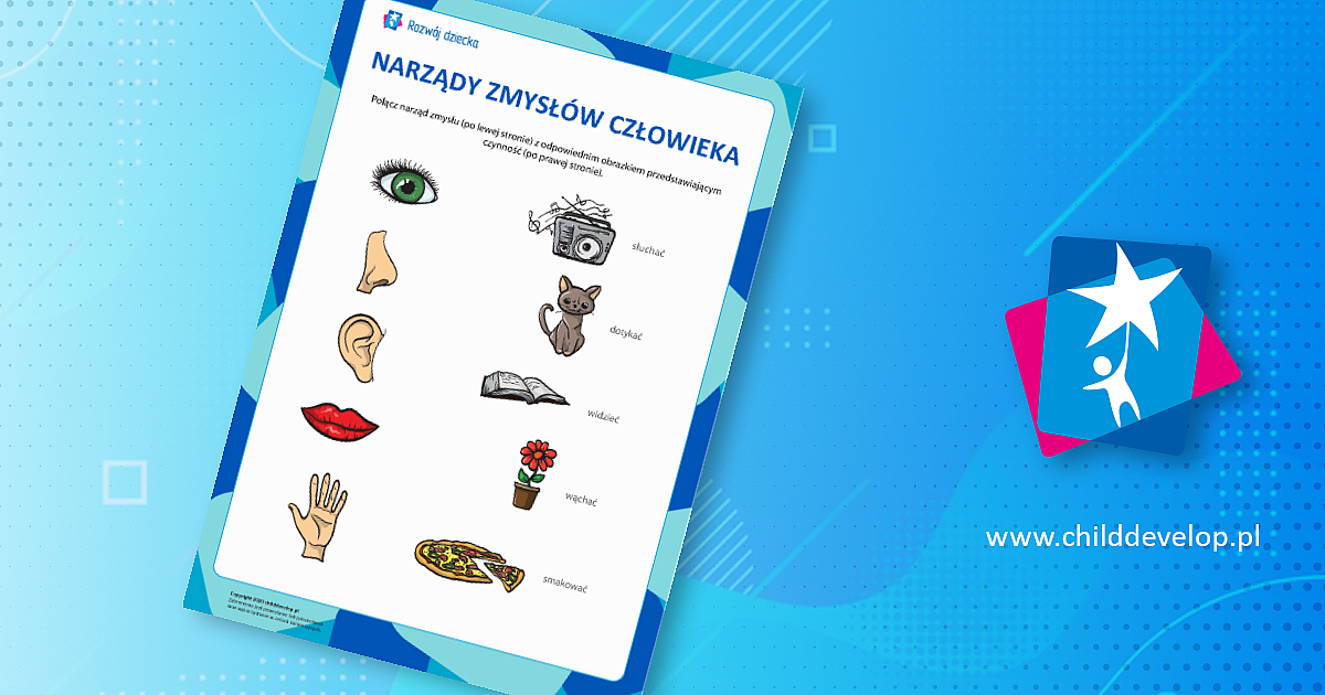 Narządy zmysłów człowieka – do druku karty pracy Zmysły dla rozwoju